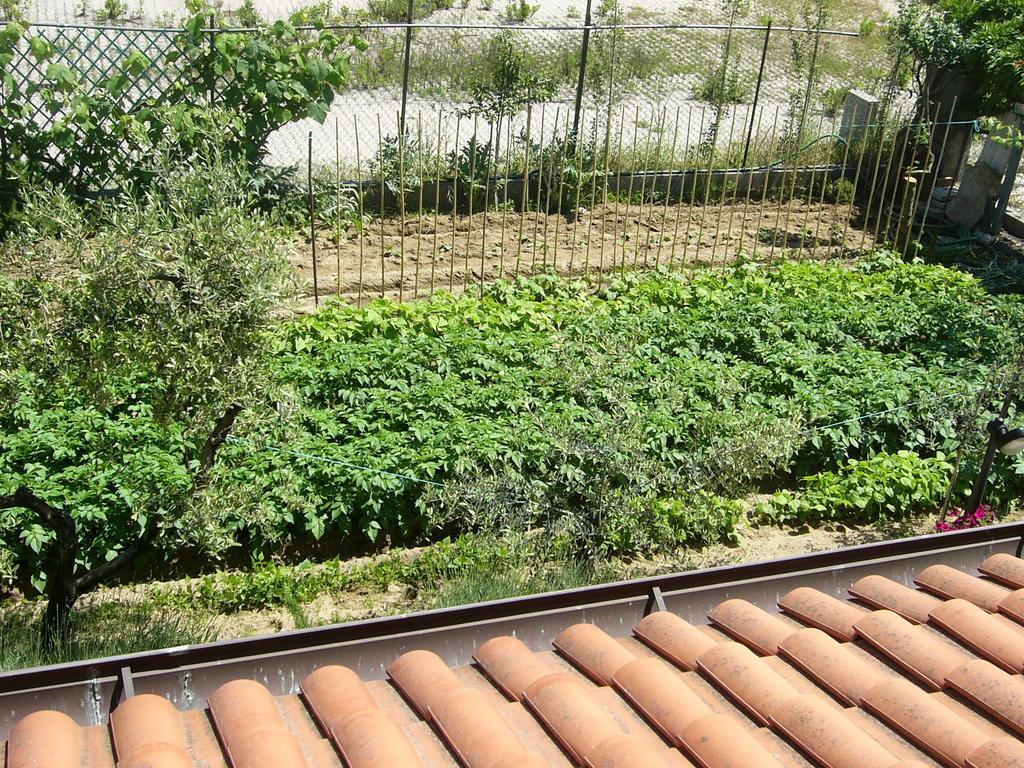 Bed and Breakfast Nonna Alda Viareggio Pokoj fotografie