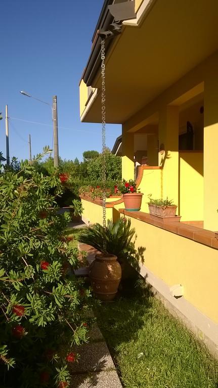 Bed and Breakfast Nonna Alda Viareggio Exteriér fotografie