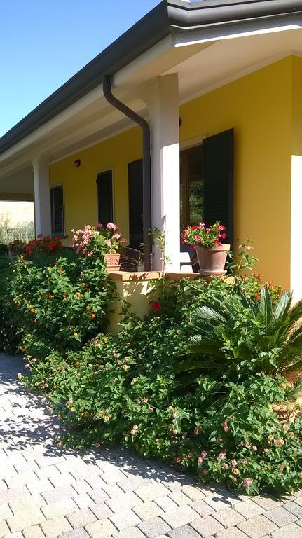 Bed and Breakfast Nonna Alda Viareggio Exteriér fotografie
