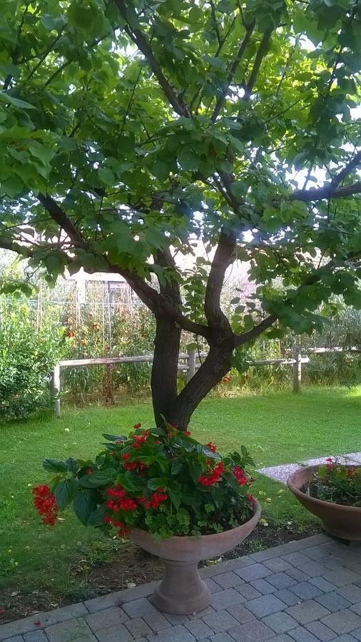 Bed and Breakfast Nonna Alda Viareggio Pokoj fotografie